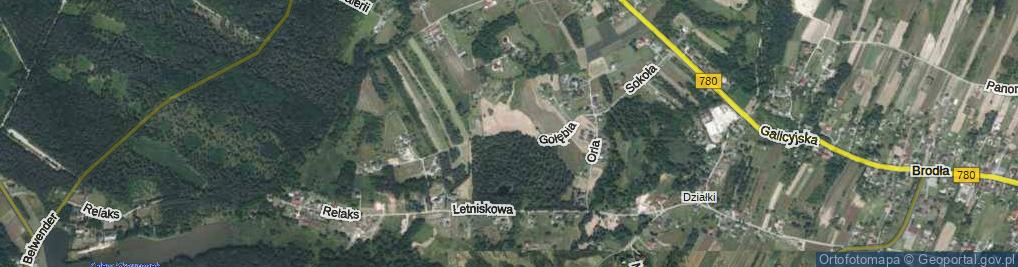 Zdjęcie satelitarne Gołębia ul.